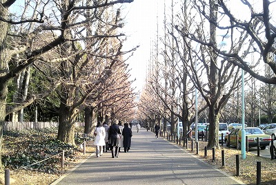 20120203a.jpg